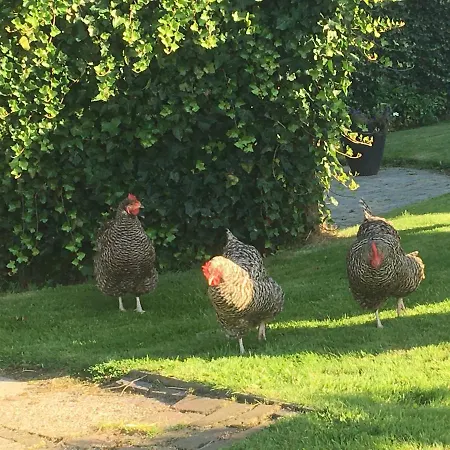 Casa de hóspedes Zandwerven 23